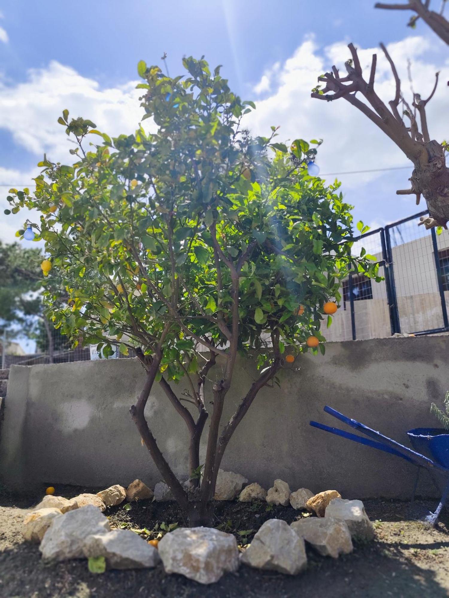 Sea Breeze Villa Archangelos  Ngoại thất bức ảnh